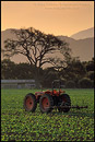 Photo: Farm Tractor in field at sunrise, along Refugio Road, near Santa Ynez, Santa Barbara County, California